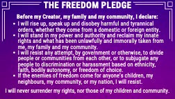Freedom Pledge Wallet-sized