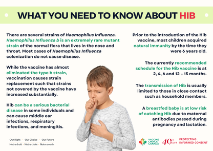 What You Need to Know About - HIB