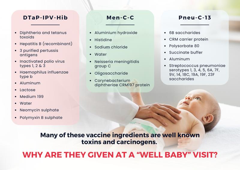 What You Need to Know About - Well Baby Visits - 2 months